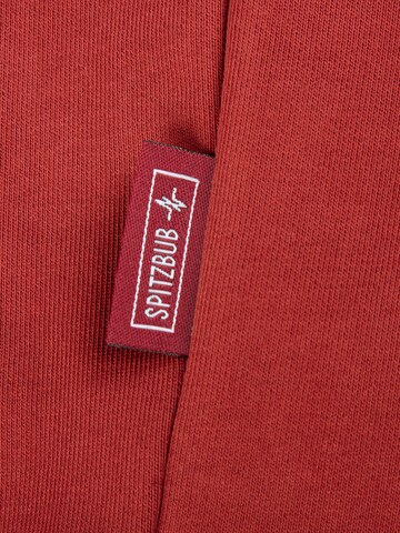 SPITZBUB Sweater 'Clemens' in Red