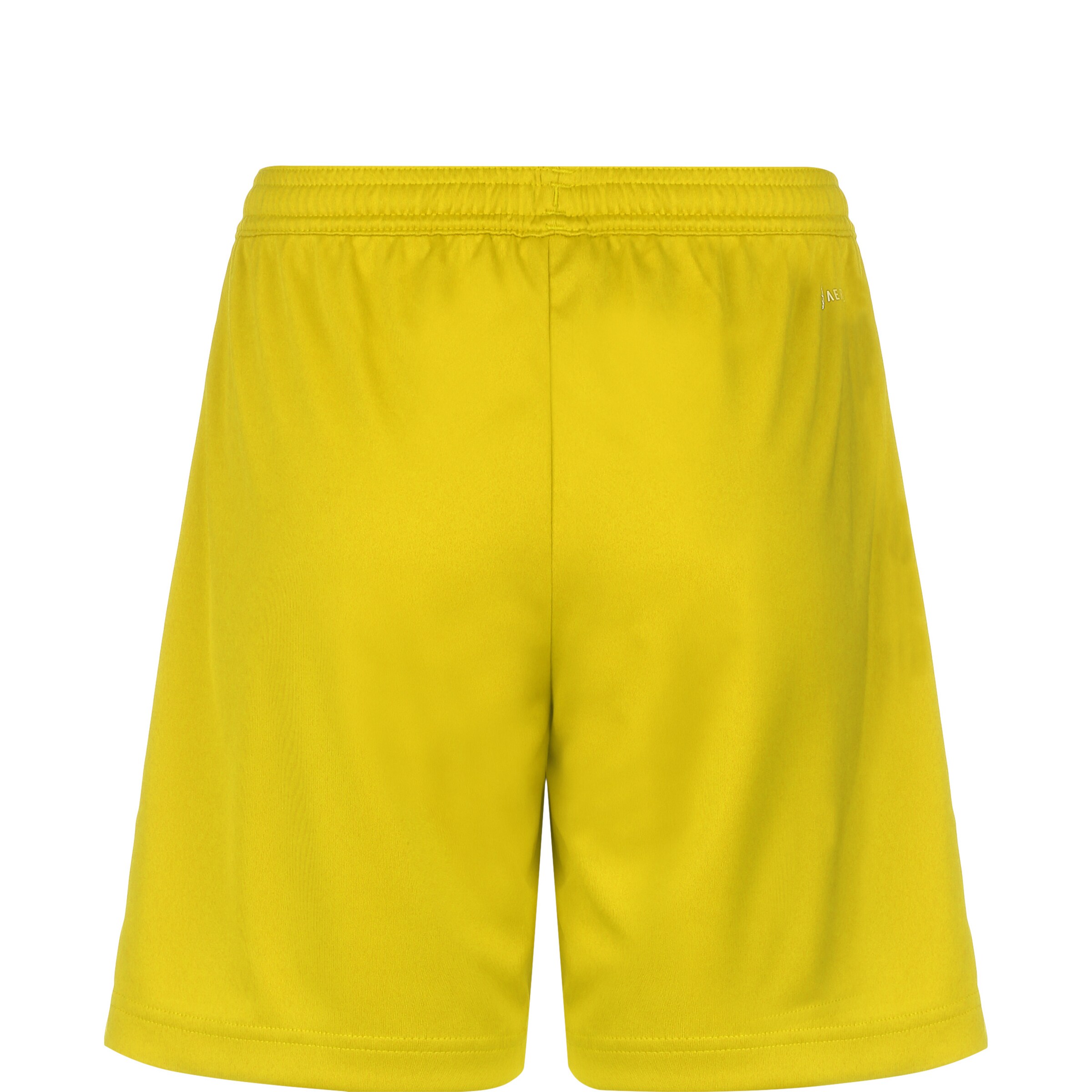 Regular Pantalon de sport 'Entrada 22' ADIDAS PERFORMANCE en jaune