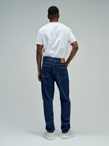 Salsa Jeans Regular Jeans in Blau