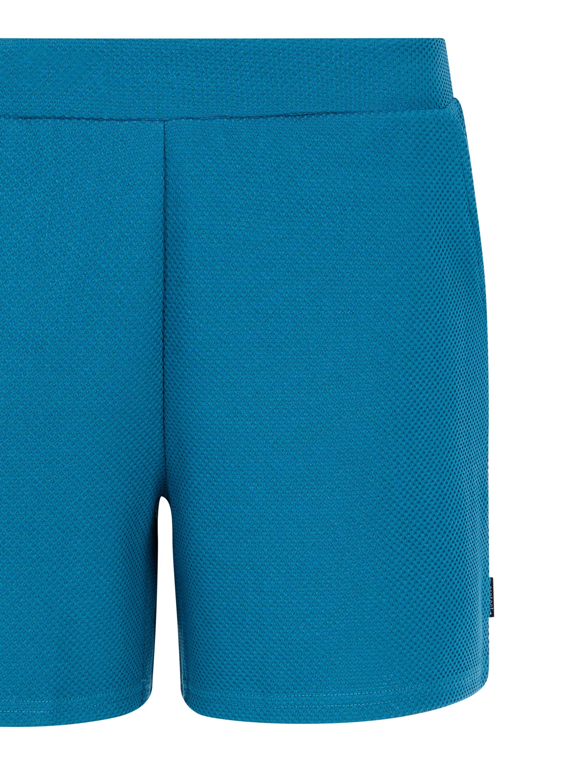 PROTEST Regular Trousers 'PRTSemma' in Blue