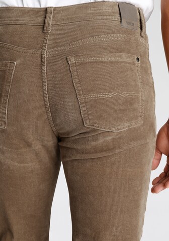 PIONEER Regular Pants in Brown