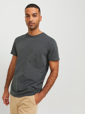 R.D.D. ROYAL DENIM DIVISION T-shirt 'Dan' i grå