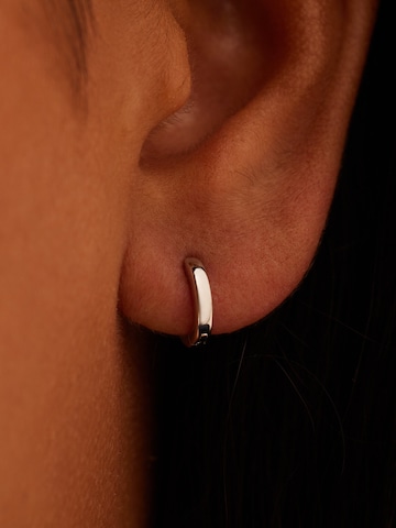 Lucardi Earrings in Silver: front