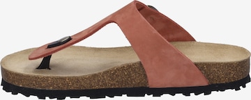 JOSEF SEIBEL T-Bar Sandals in Orange: front