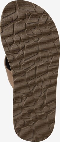 Volcom T-Bar Sandals 'Victor' in Brown