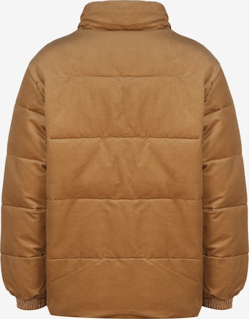 Carhartt WIP Winter Jacket in Brown