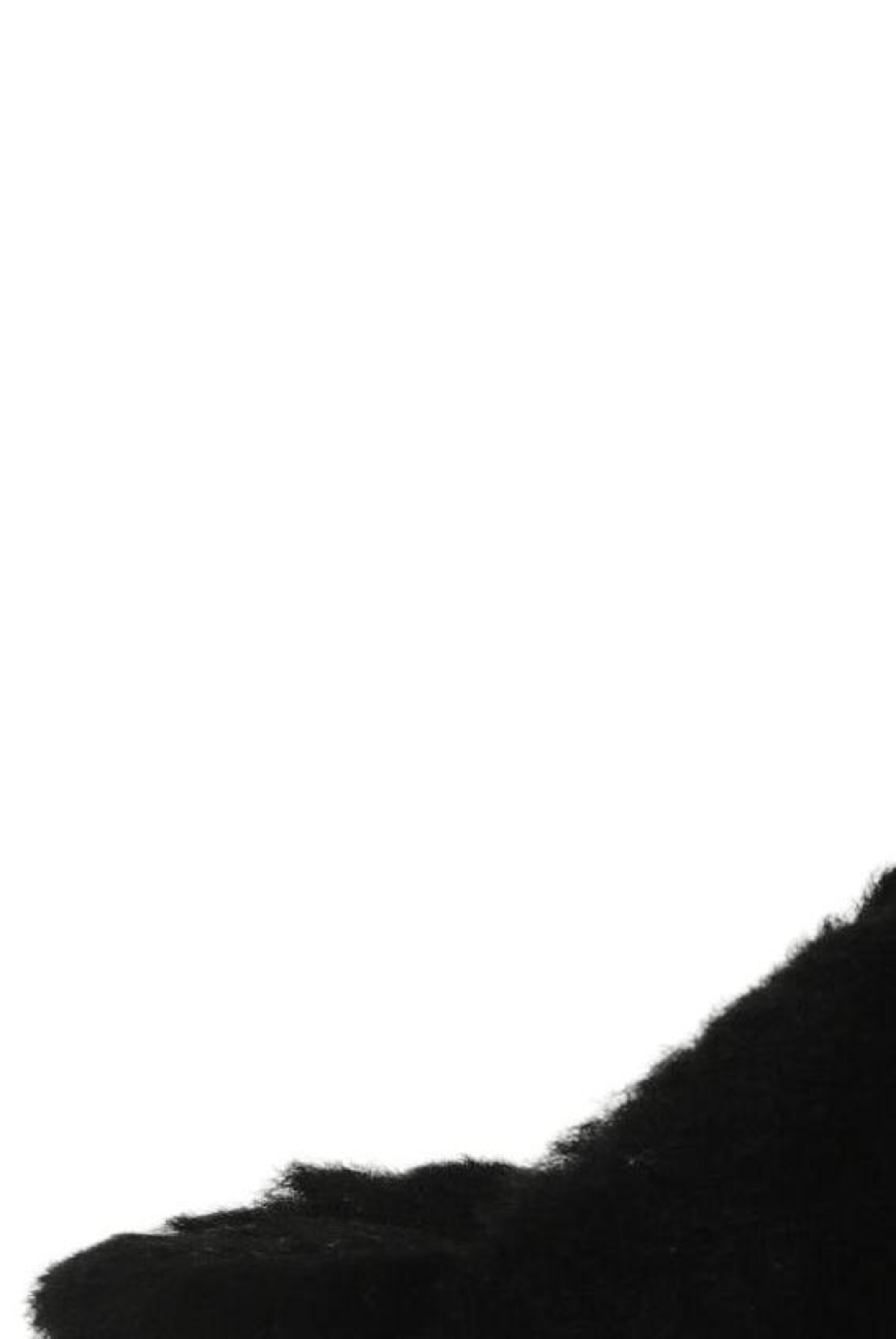 FRENCH CONNECTION Sandals & High-Heeled Sandals in 40,5 in Black