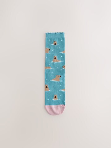 Next Socken in Beige