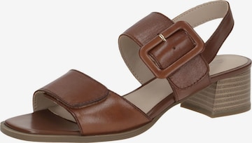 Sandales CAPRICE en marron : devant