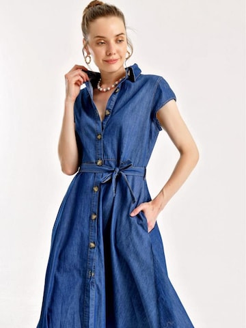 Bigdart Särkkleit, värv sinine