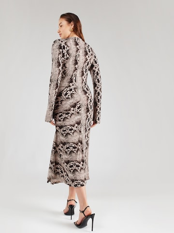 Robe & Other Stories en beige