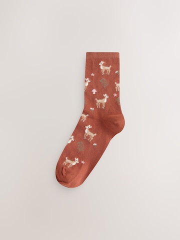 Next Socks in Mixed colours