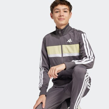 ADIDAS SPORTSWEAR Set 'Seasonal Essentials Tiberio' in Gold