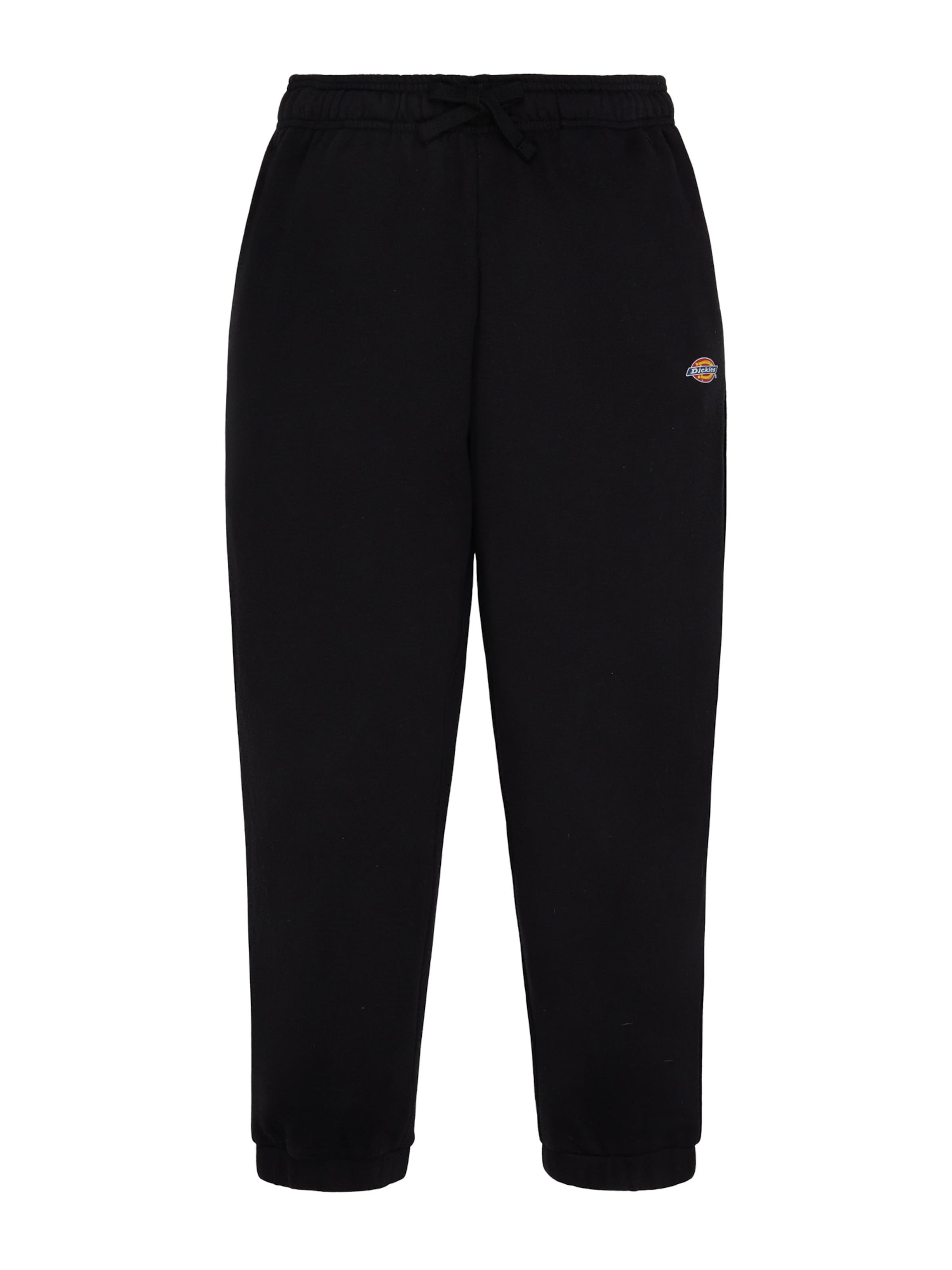 DICKIES Trousers 'Mapleton' in Black: front