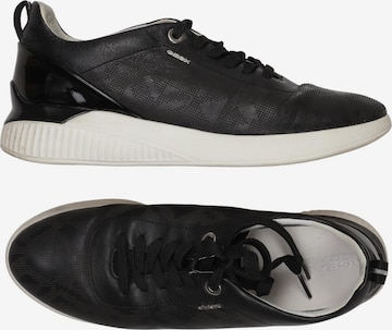 GEOX Sneaker 39 in Schwarz: Vorderseite