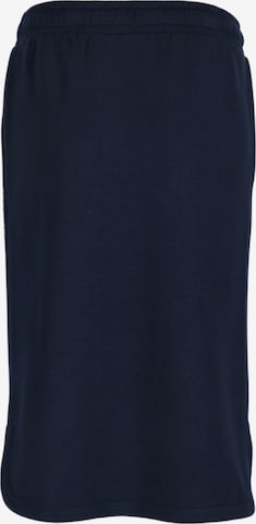 Seaside Skirt 'Lounge' in Blue: front