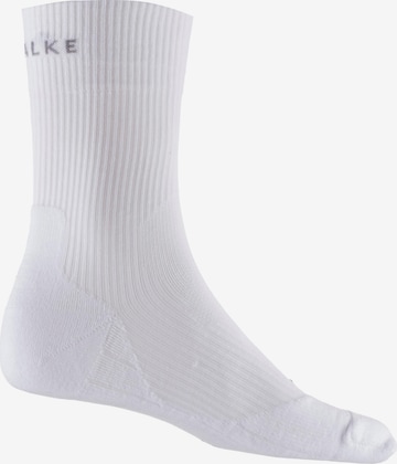 Chaussettes de sport 'TE4' FALKE en blanc