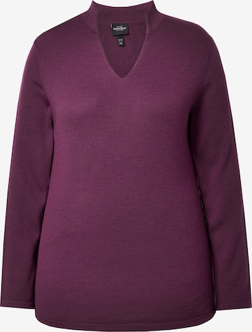 Ulla Popken Sweater in Purple: front