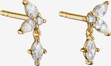 Thomas Sabo Ohrringe in Gold: Vorderseite