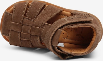 BISGAARD First-Step Shoes 'Carly' in Brown