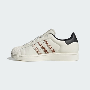 ADIDAS ORIGINALS - Sapatilhas baixas 'Superstar II' em branco