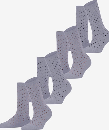 ESPRIT Socken in Blau: Vorderseite