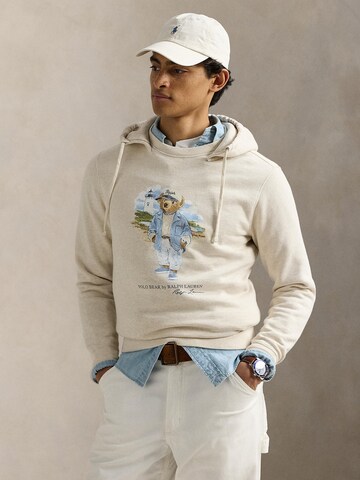Polo Ralph Lauren Sweatshirt i grå