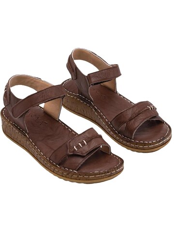 Limoya Sandals 'Damensandalen' in Brown