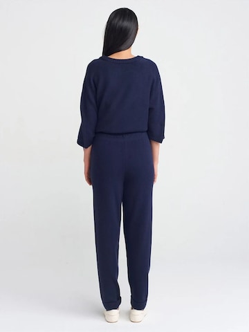 regular Pantaloni di Dilvin in blu