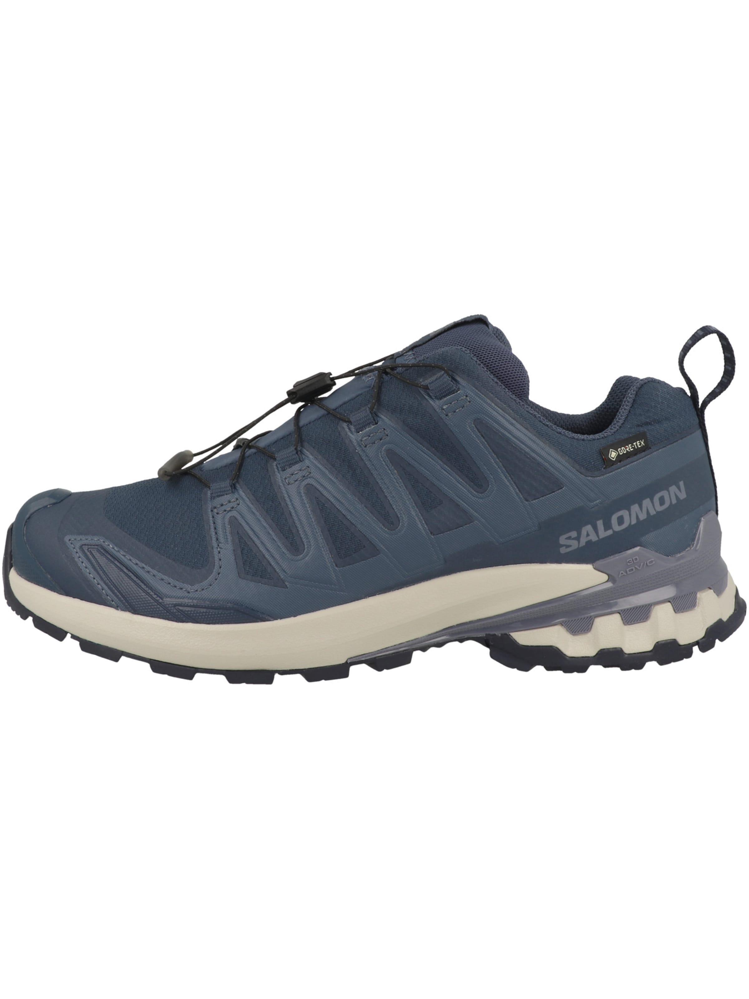 SALOMON Laufschuh 'XA Pro 3D V9' in Blau