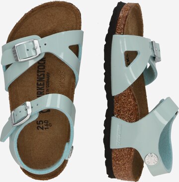 BIRKENSTOCK Otevřená obuv 'Rio' – zelená