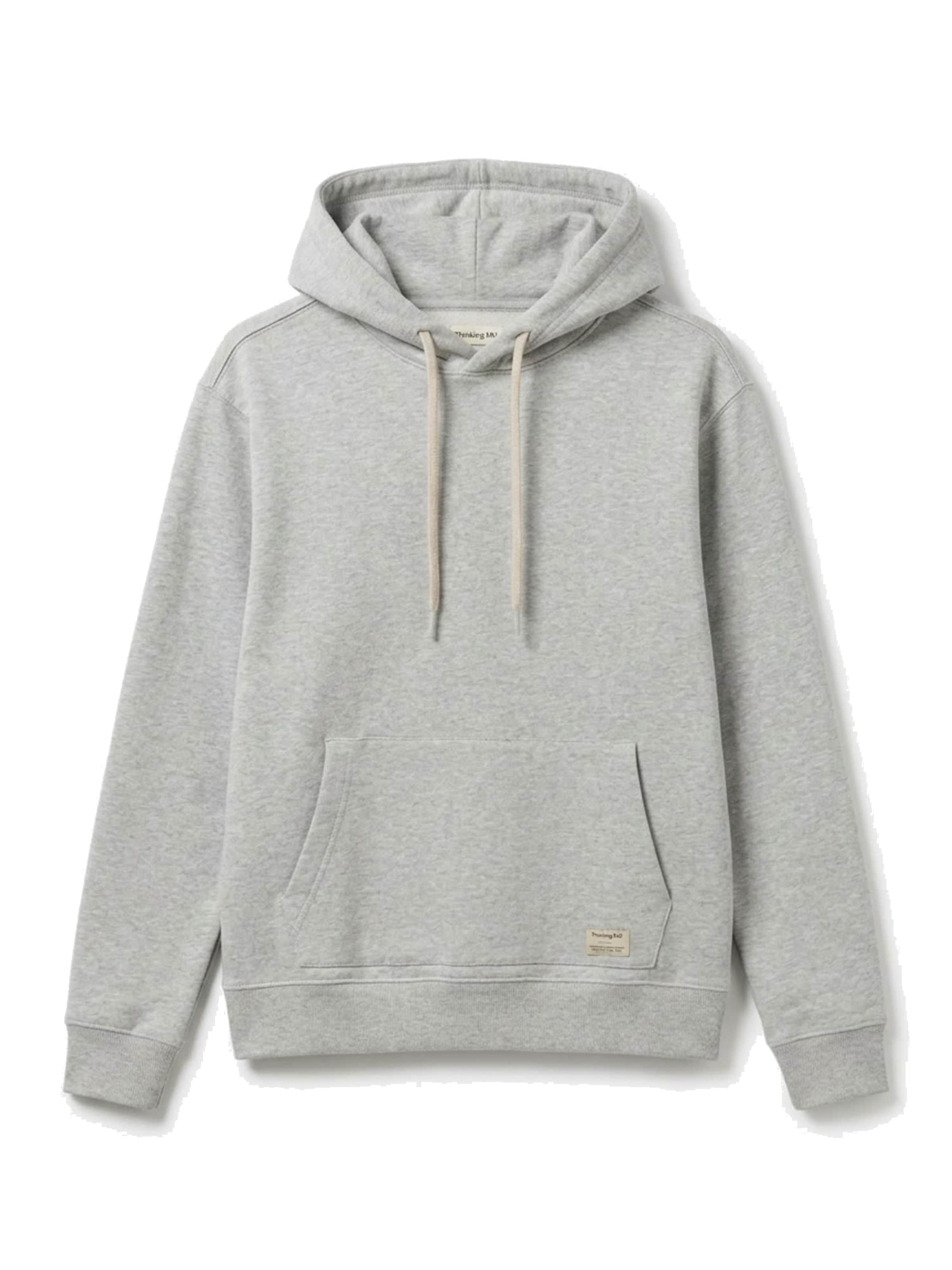 Thinking MU Sweatshirt 'SAUL' in Grijs: voorkant