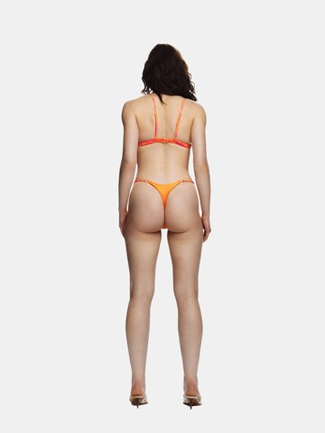 EKCENTRIK Bikinihose 'Wild Sunrise' in Orange