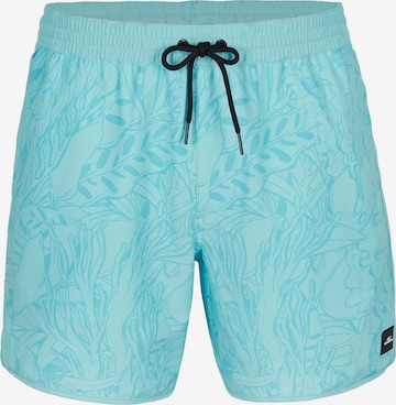 O'NEILL Kopalne hlače 'Scallop Ocean 16' | modra barva: sprednja stran