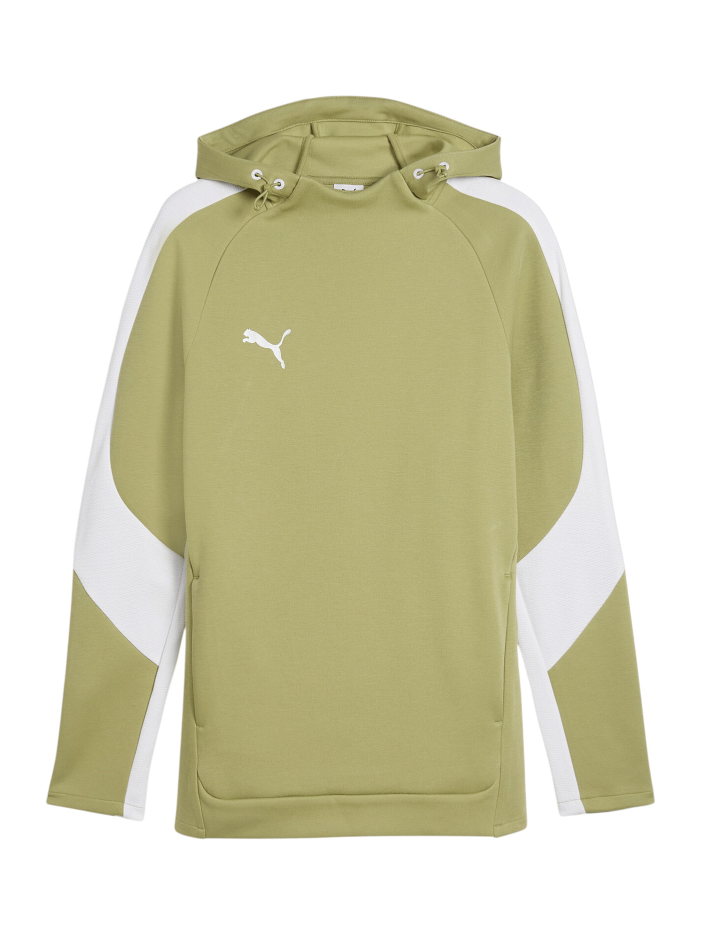 PUMA Sweatshirt in Grün: Vorderseite