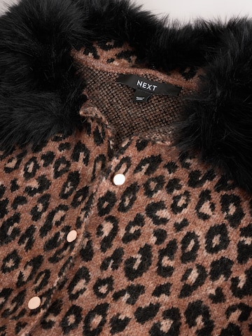 Next Kötött ruhák - barna