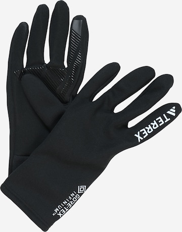 ADIDAS TERREX Rękawiczki sportowe w kolorze czarny: przód
