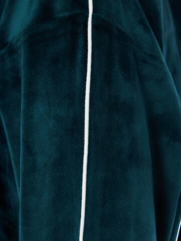 Funky Buddha Sweatshirt in Green