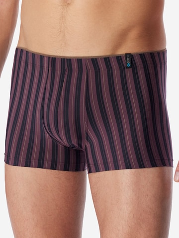 Boxers ' Long Life Soft ' SCHIESSER en marron : devant
