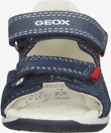 GEOX Sandale in Blau