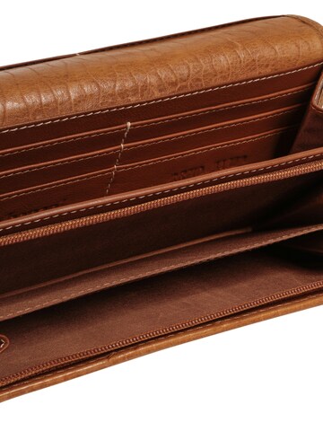 Bruno Banani Wallet in Brown