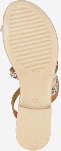 ABOUT YOU T-Bar Sandals 'FLORENTINE' in Beige