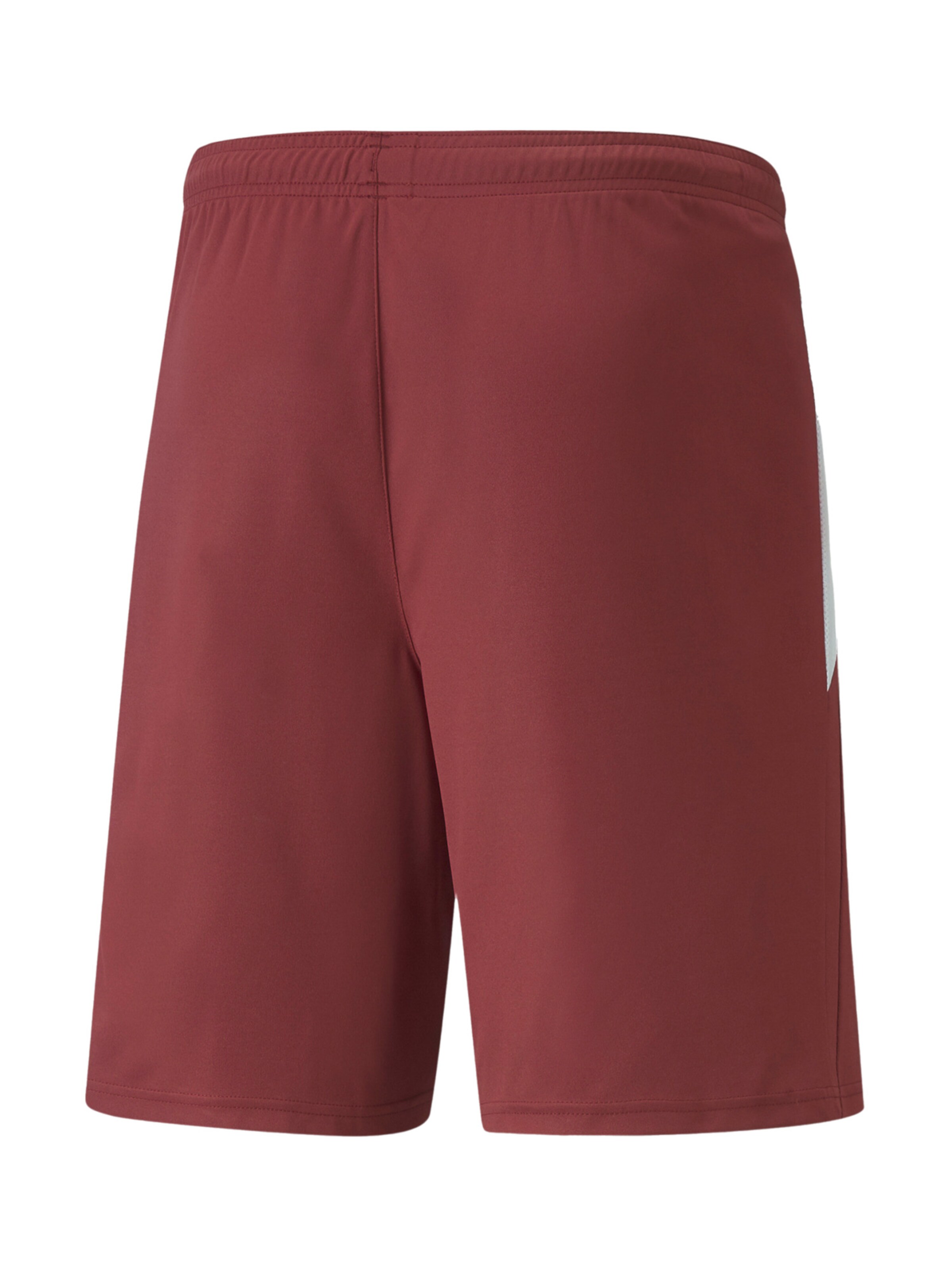 PUMA Regular Workout Pants 'TeamLiga' in Red