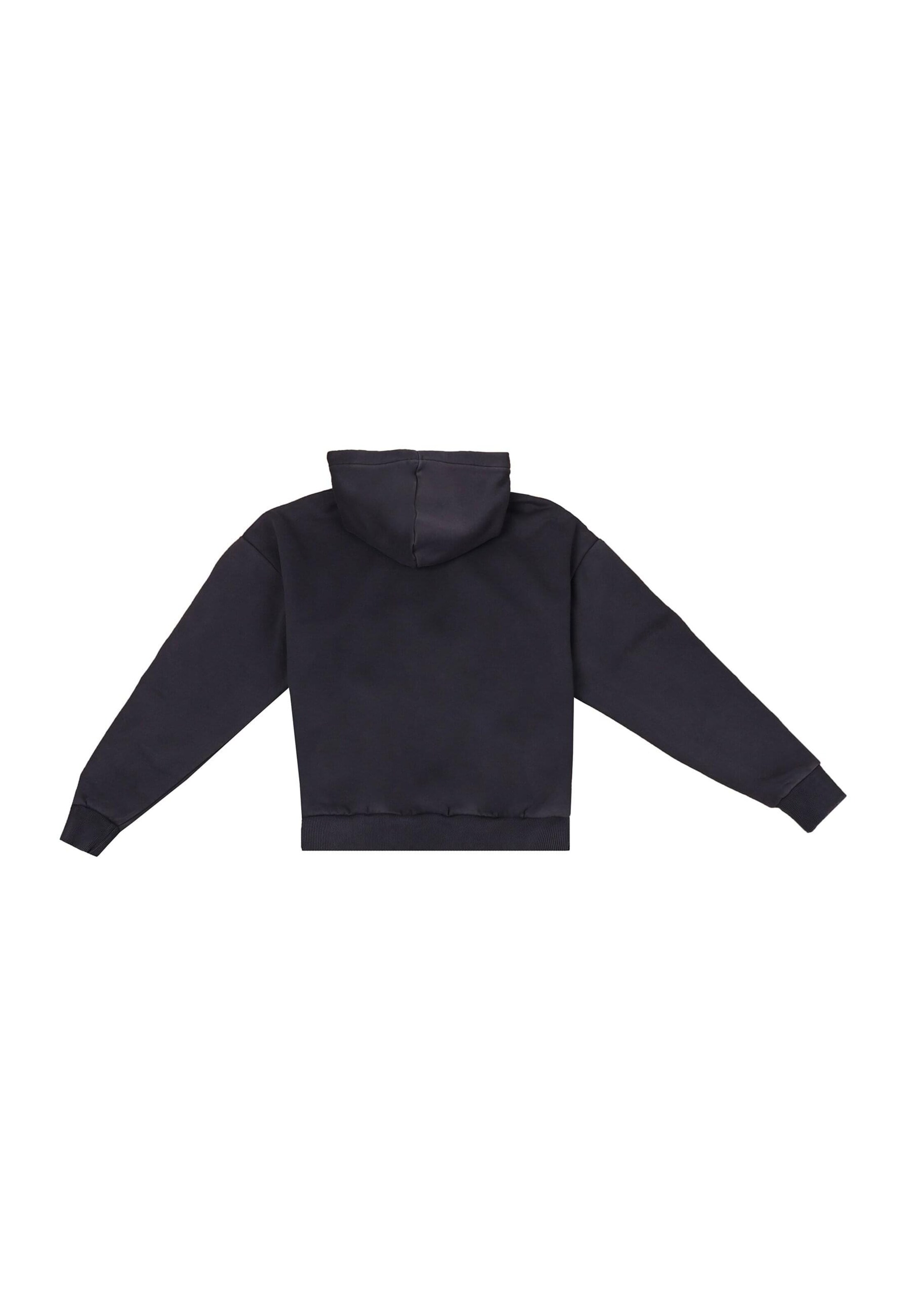 Dropsize Sweatshirt 'Embo' in Black