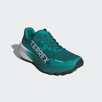 ADIDAS TERREX Loopschoen 'Agravic 3' in Groen