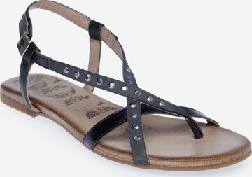 Soccx T-Bar Sandals in Blue