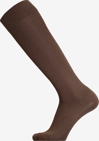 UphillSport Knee High Socks 'KAIHU' in Brown: front