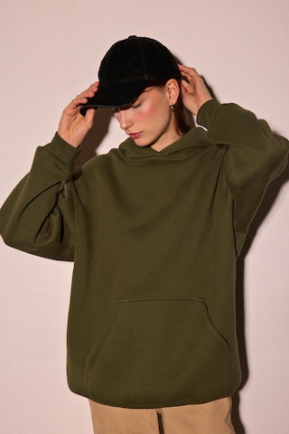 Touche Prive Sweatshirt in Green: front