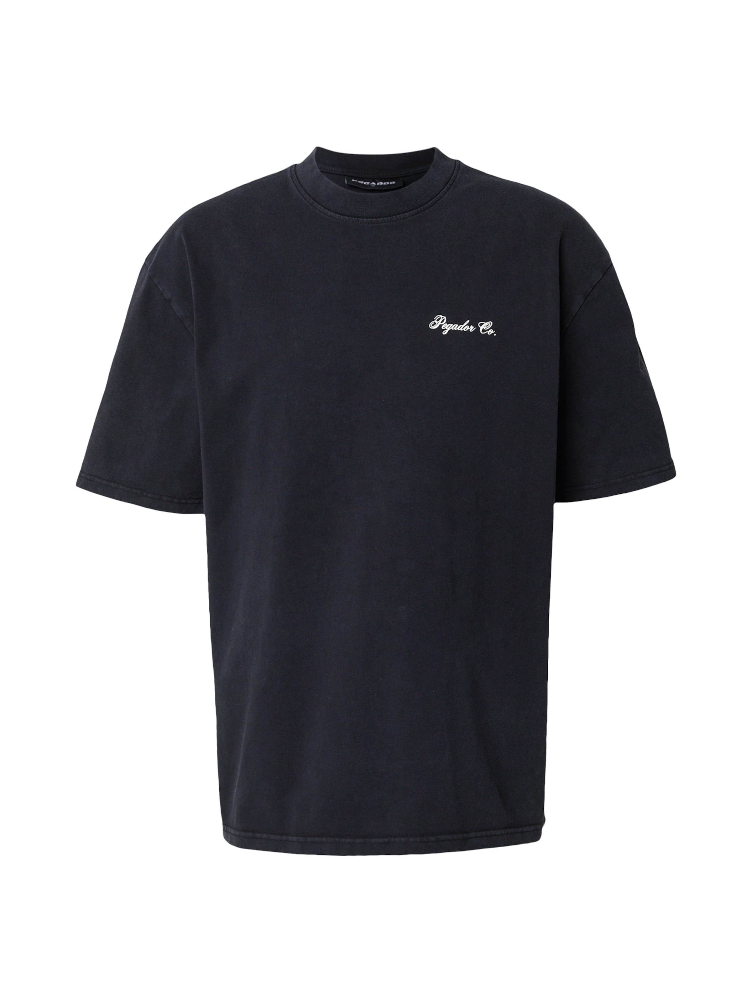 T-Shirt 'Dalzel' Pegador en noir : devant