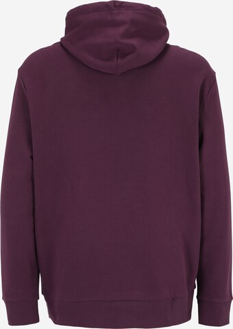 Calvin Klein Big & Tall Sweatshirt in Purple